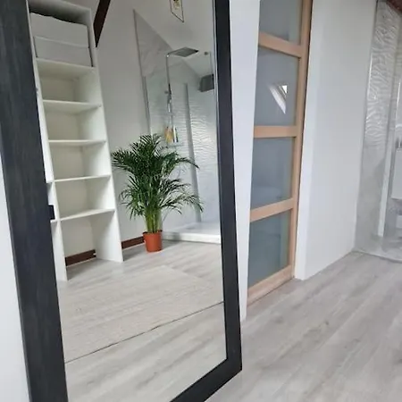 Grande Maison En Bords De Marne - 25 Min De Paris